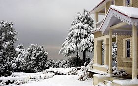 Tree Of Life Grand Oak Manor, Binsar